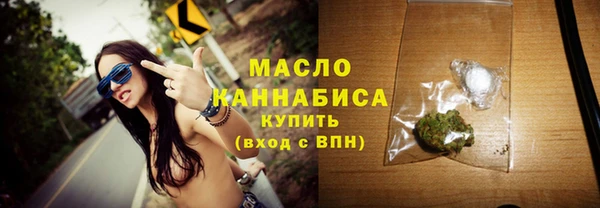 spice Богородицк