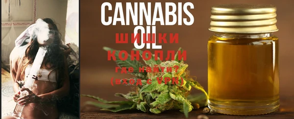 МДПВ Богданович
