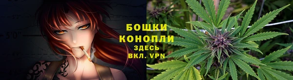 прущие крисы Белоозёрский
