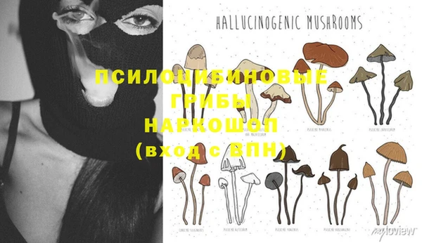 spice Богородицк