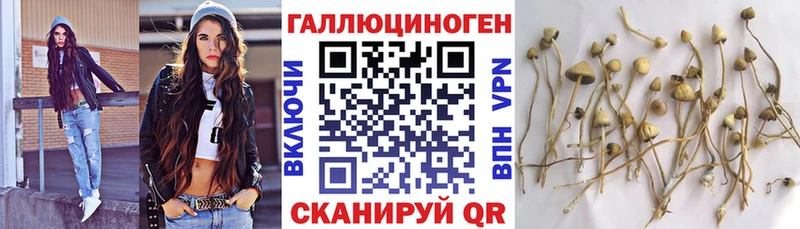 Галлюциногенные грибы Magic Shrooms Кремёнки